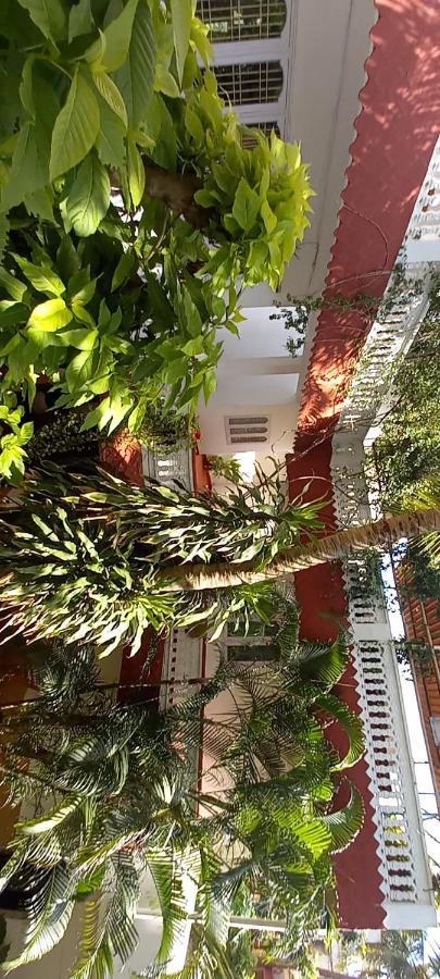 Daphne Hotel Mamallapuram Exterior foto