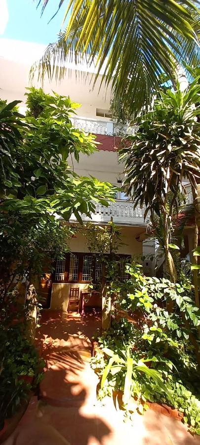 Daphne Hotel Mamallapuram Exterior foto