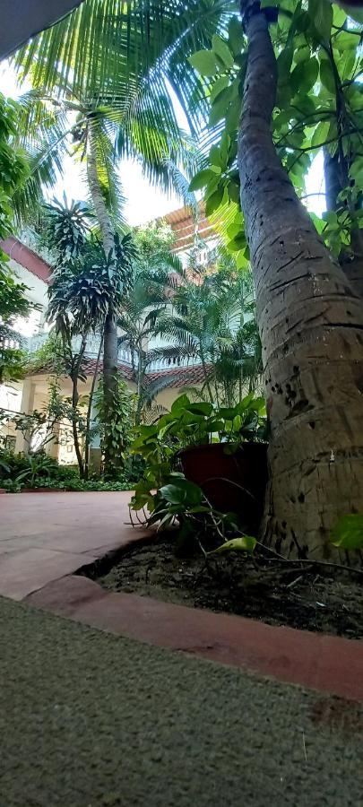 Daphne Hotel Mamallapuram Exterior foto